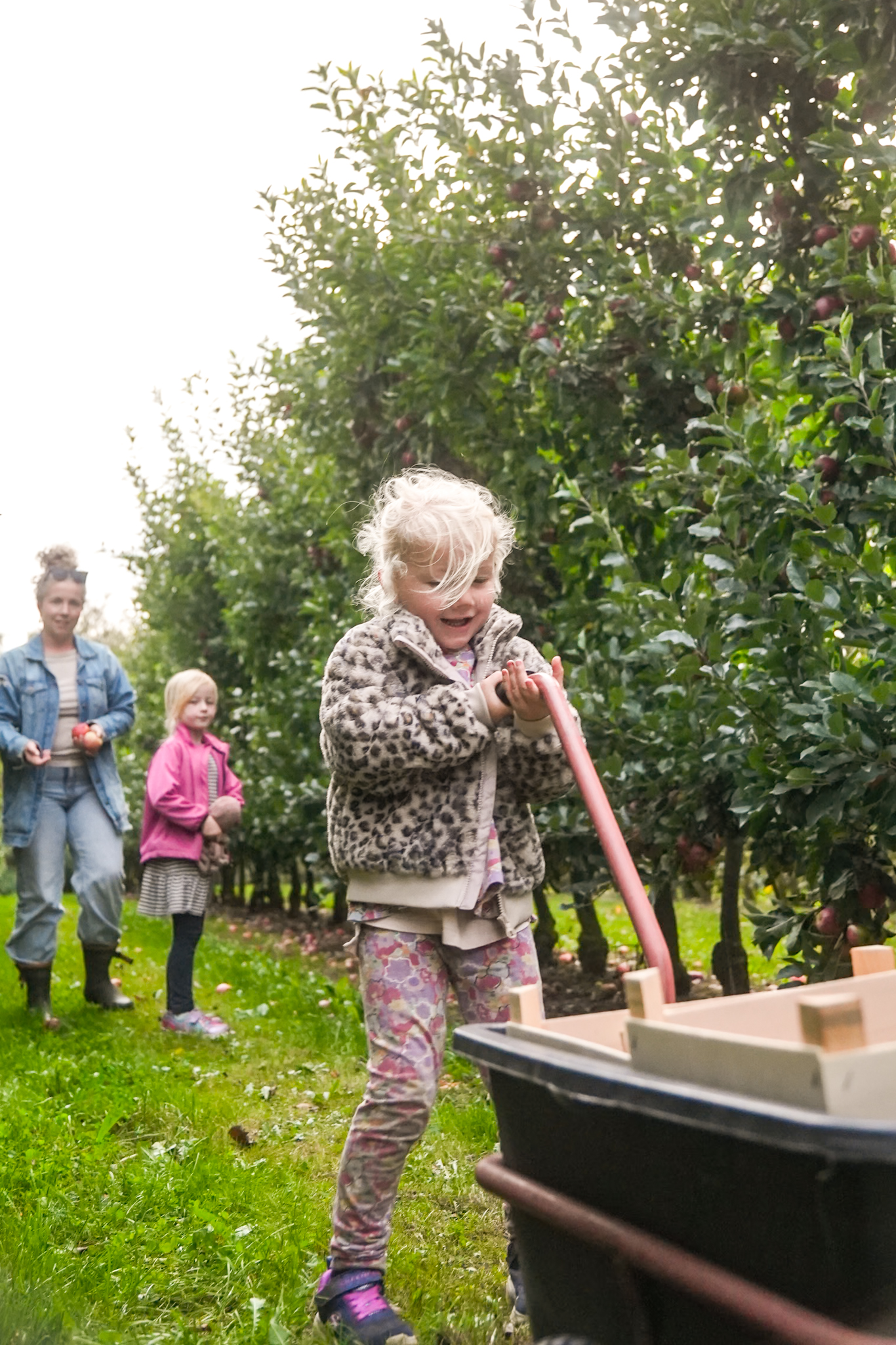 Gårdbutik nær Odense, Fyn