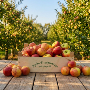Æble FrugtKasse fra Nybro Frugtplantage