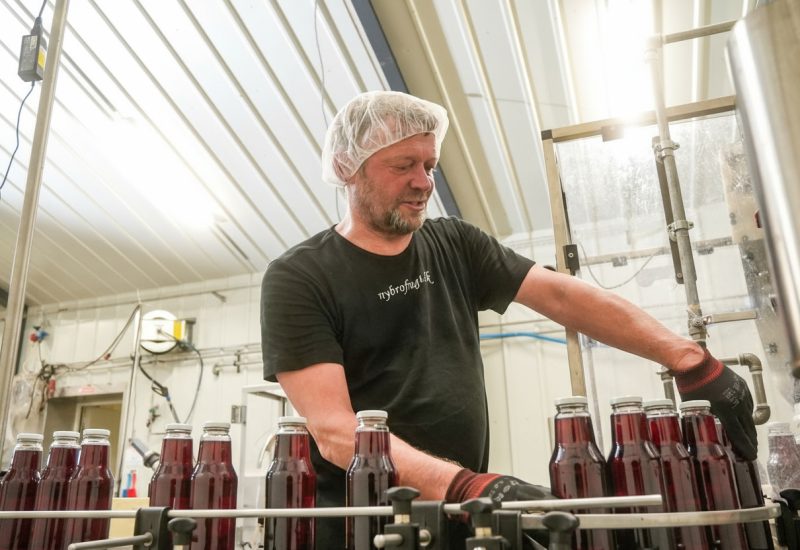 Agata_1248_by_832_pixels_874b5844-c5f9-4a42-b609-37f045f6ee62