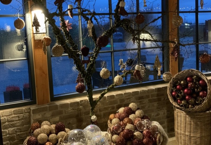 Æblegløgg uden alkohol